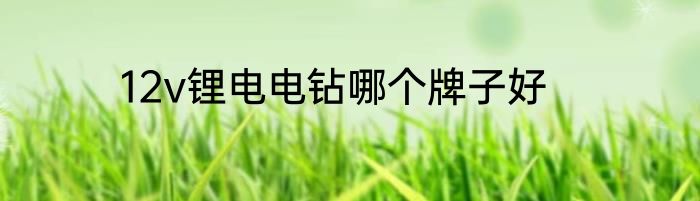 12v锂电电钻哪个牌子好