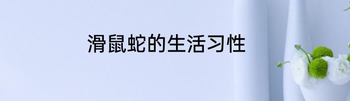 滑鼠蛇的生活习性