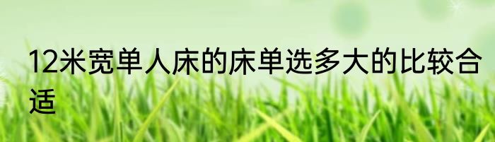 12米宽单人床的床单选多大的比较合适