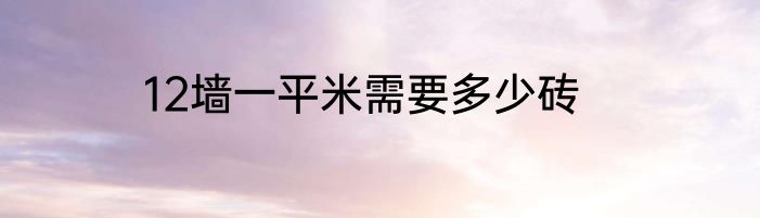 12墙一平米需要多少砖