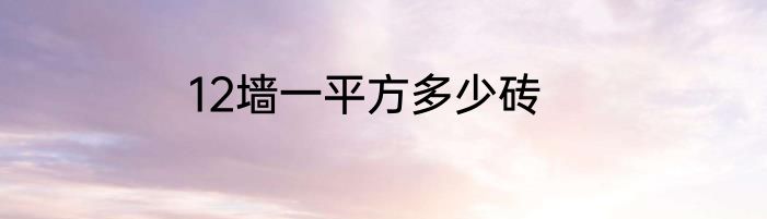 12墙一平方多少砖
