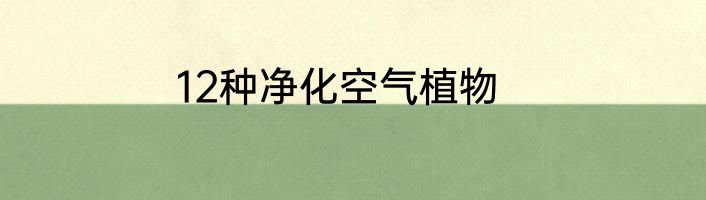 12种净化空气植物
