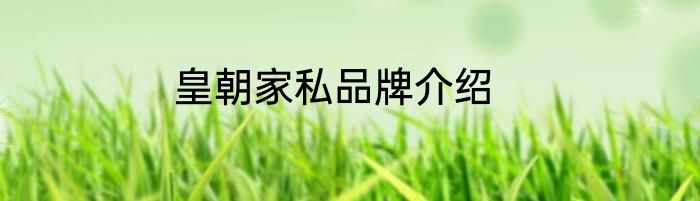 皇朝家私品牌介绍