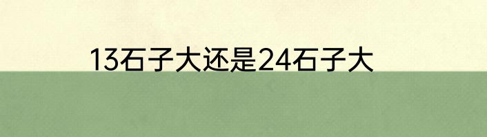 13石子大还是24石子大