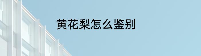 黄花梨怎么鉴别