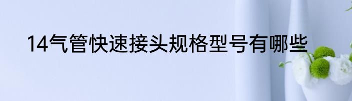 14气管快速接头规格型号有哪些