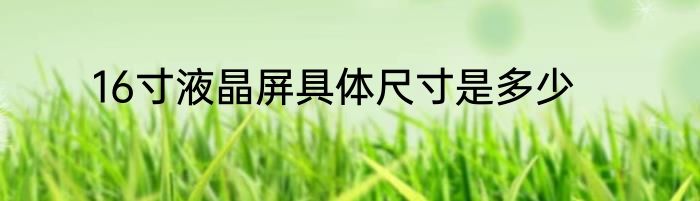 16寸液晶屏具体尺寸是多少