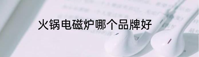 火锅电磁炉哪个品牌好
