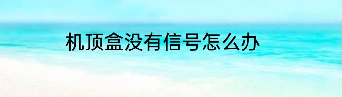 机顶盒没有信号怎么办