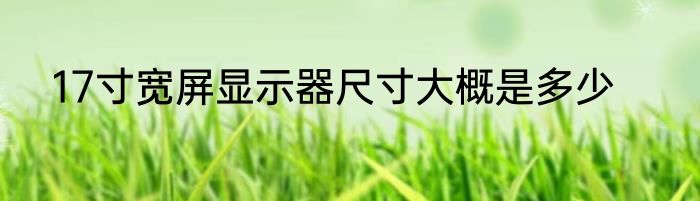 17寸宽屏显示器尺寸大概是多少