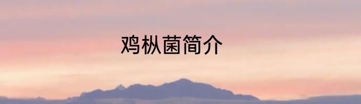 鸡枞菌简介