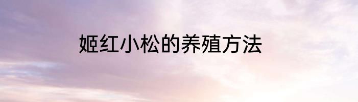 姬红小松的养殖方法