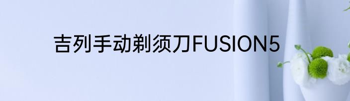 吉列手动剃须刀FUSION5