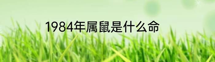 1984年属鼠是什么命
