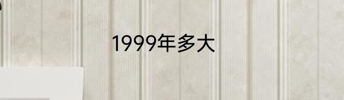 1999年多大