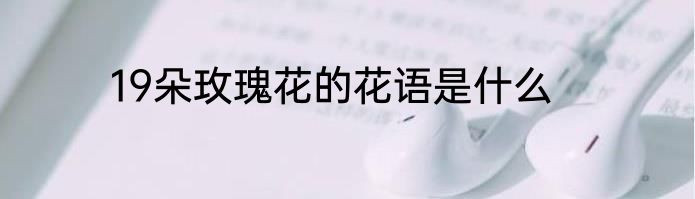 19朵玫瑰花的花语是什么
