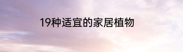19种适宜的家居植物