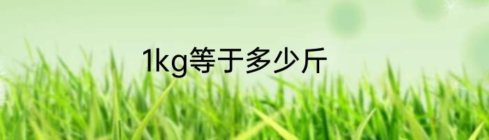 1kg等于多少斤