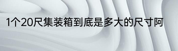 1个20尺集装箱到底是多大的尺寸阿