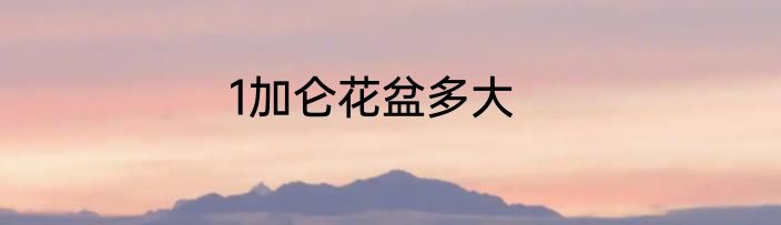 1加仑花盆多大