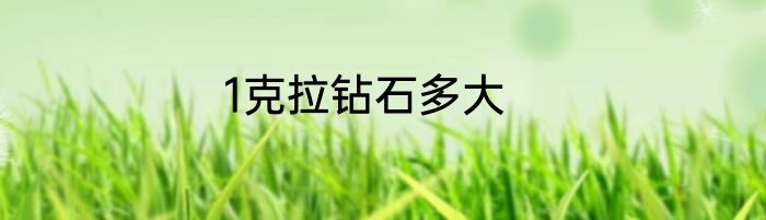 1克拉钻石多大