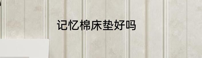 记忆棉床垫好吗