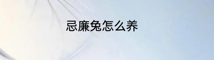 忌廉兔怎么养