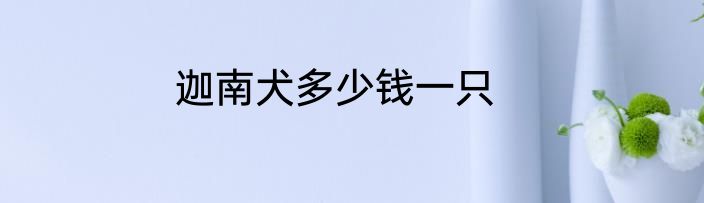 迦南犬多少钱一只