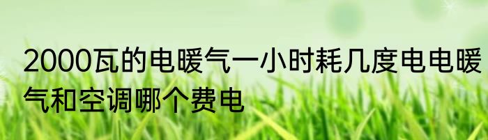 2000瓦的电暖气一小时耗几度电电暖气和空调哪个费电