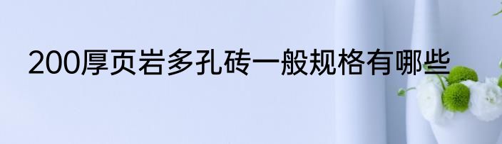 200厚页岩多孔砖一般规格有哪些