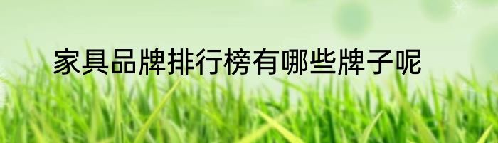 家具品牌排行榜有哪些牌子呢