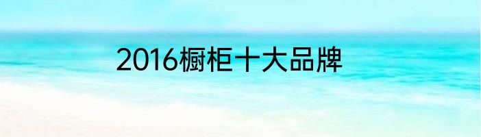 2016橱柜十大品牌