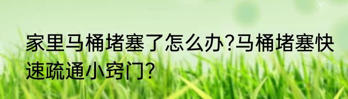 家里马桶堵塞了怎么办?马桶堵塞快速疏通小窍门?