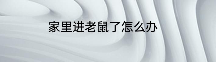 家里进老鼠了怎么办