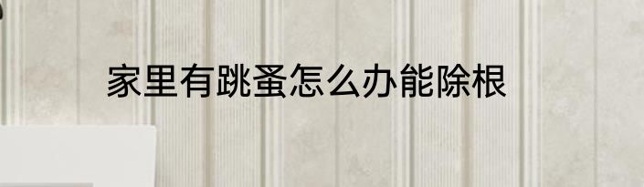 家里有跳蚤怎么办能除根