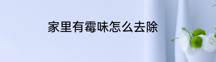 家里有霉味怎么去除