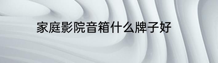 家庭影院音箱什么牌子好