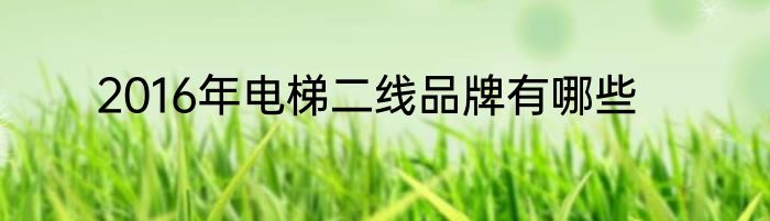 2016年电梯二线品牌有哪些