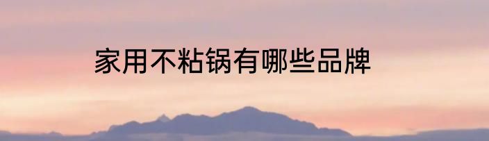 家用不粘锅有哪些品牌