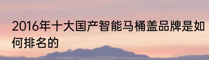 2016年十大国产智能马桶盖品牌是如何排名的