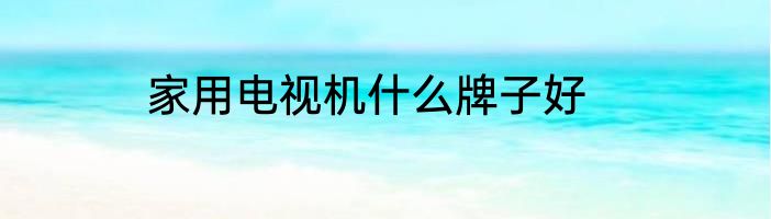 家用电视机什么牌子好