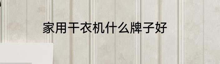 家用干衣机什么牌子好