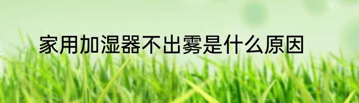 家用加湿器不出雾是什么原因