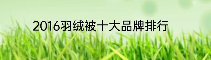 2016羽绒被十大品牌排行