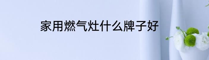家用燃气灶什么牌子好