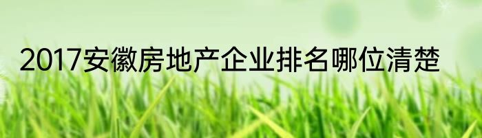 2017安徽房地产企业排名哪位清楚