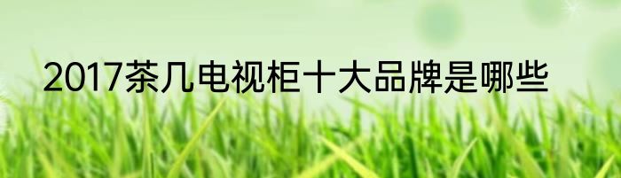 2017茶几电视柜十大品牌是哪些