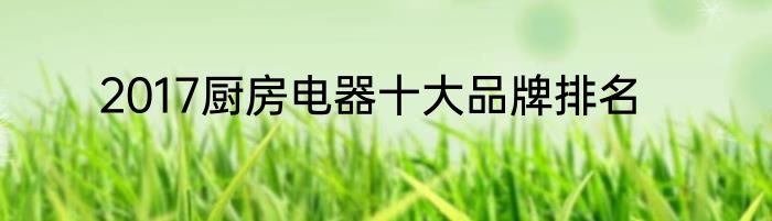 2017厨房电器十大品牌排名