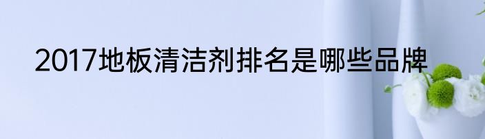 2017地板清洁剂排名是哪些品牌