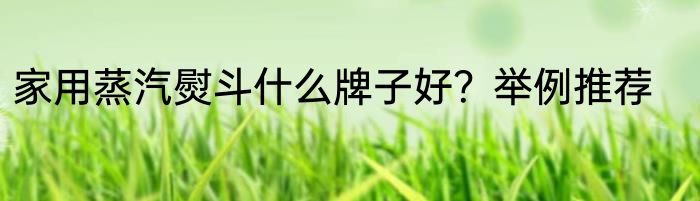 家用蒸汽熨斗什么牌子好？举例推荐